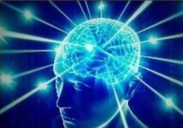 brain-3.png