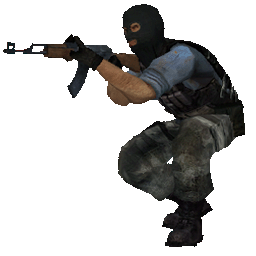 decoy_source_t.gif