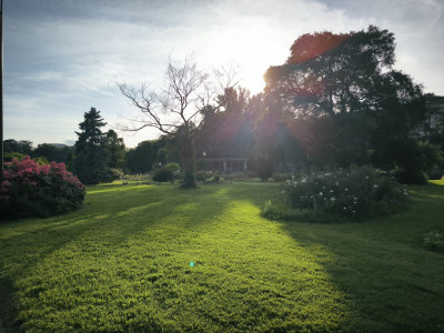 park.jpg