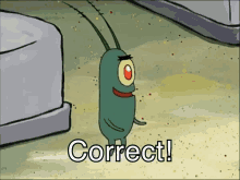 correct-plankton.gif