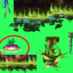 plant.png