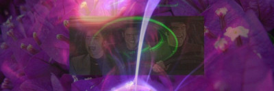 purple.jpg