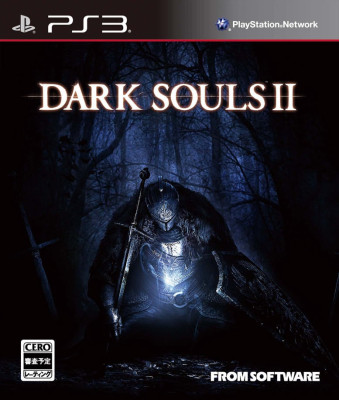 ds2-ntscj.jpg