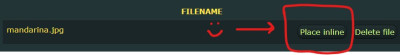 place inline.jpg