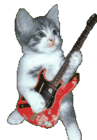 playing-guitar-cat.gif
