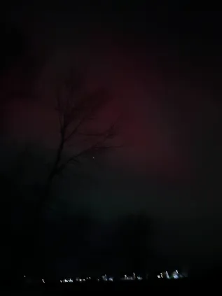 Photo he sent of it!