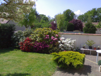 Une photo prise par le N70