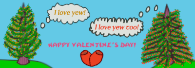 taxus_valentine.png