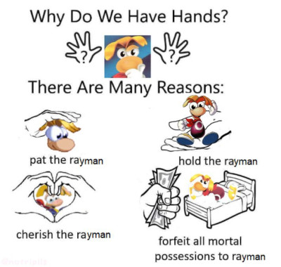 Why do we have hands.jpeg