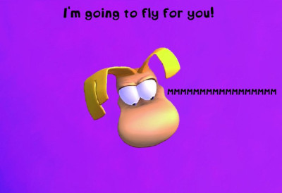 rayfly.jpg