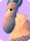 Tufkin.png