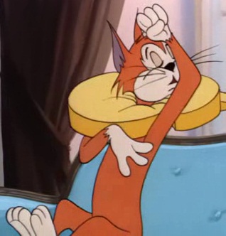 zzzzzzzzzzzzz.jpg