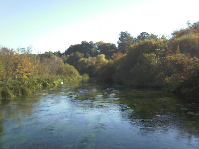Photo-0002.jpg
