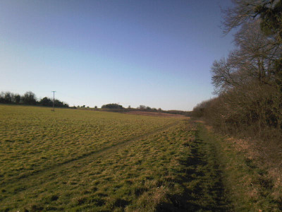 Photo-0010.jpg