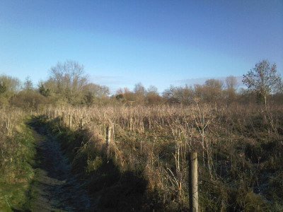 Photo-0007.jpg