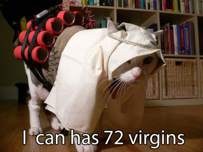I can has 72 virgins for myself.