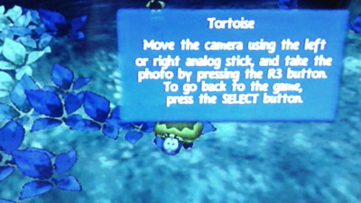 Tortoise.jpg