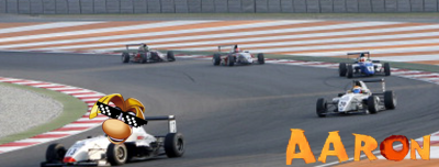 Rayman Formula 1 sig.png
