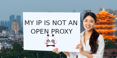 my-ip-is-not-an-open-proxy-cleaned.png