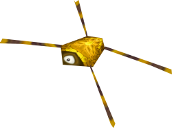 Gerridae.png