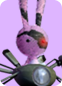 pink-rank.png