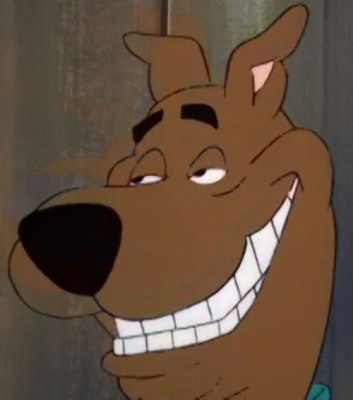 tumblr_nsl7wb5k6i1u5firdo1_500.jpg