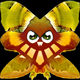 popolopoi.png