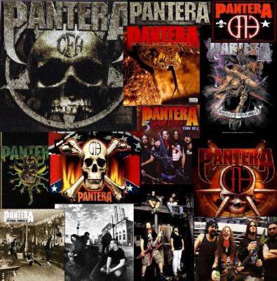pantera.jpg