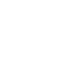 typoray3.png