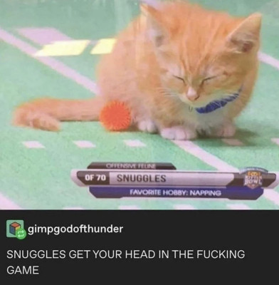 nap.jpg