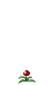 CarniPlantIdleLoop.gif