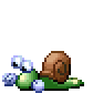 New Snail 3.gif