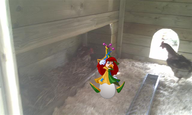 Image