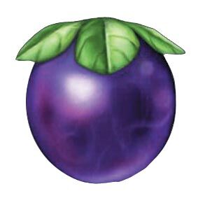 Une prune