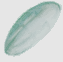 La texture des ailes du Snorty dans les fichiers de Rayman 3.