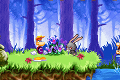 Un lapin boxeur courant sur sa plate-forme.