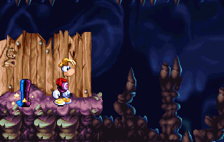 Palisada z wyrytym Mr Skopsem (tylko w Rayman uczy matmy i polaka).
