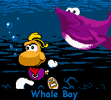 Whale Bay