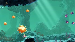 Un groupe de poissons-globes.