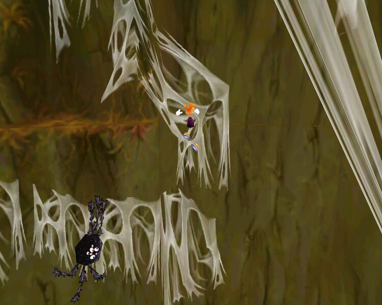 Plik:Thecanopypc.JPG