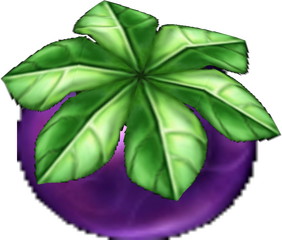 Vue détaillée d'une prune.