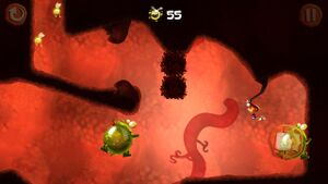 RFR-27.jpg