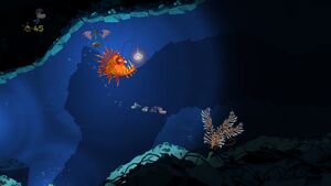 Swimming with Stars 9.jpg