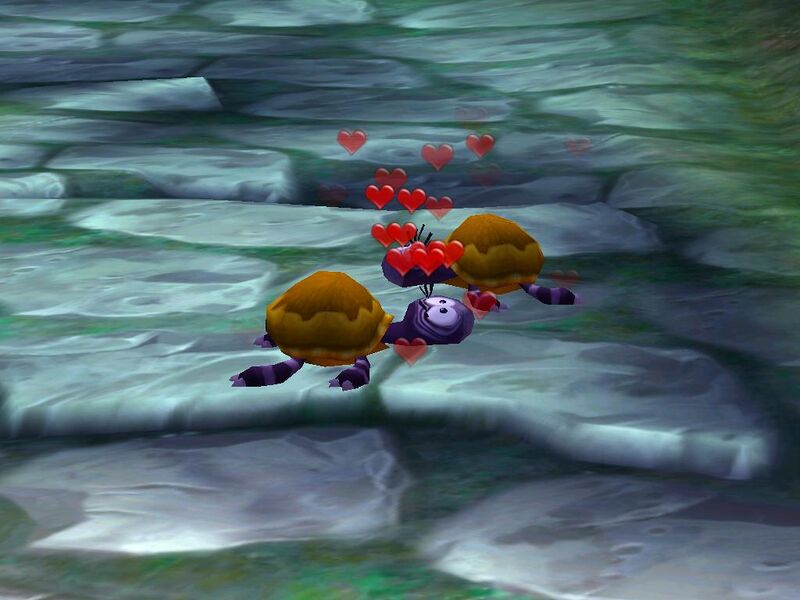File:Turtlelove.jpg