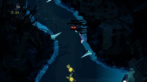 Swimming with Stars 5.jpg