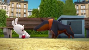 InvasionTVSeries Dog 1.jpg
