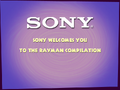 Le splash screen avec le logo de Sony.