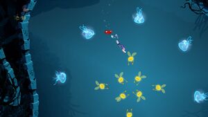 Swimming with Stars 4.jpg