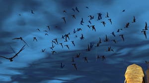 BirdsR3BOM1.png