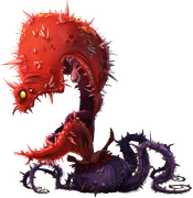 Carnivora.